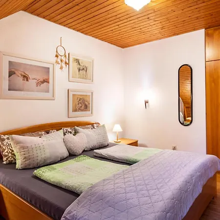 Landhaus Am Schmiedebach Wittenschwand Экстерьер фото