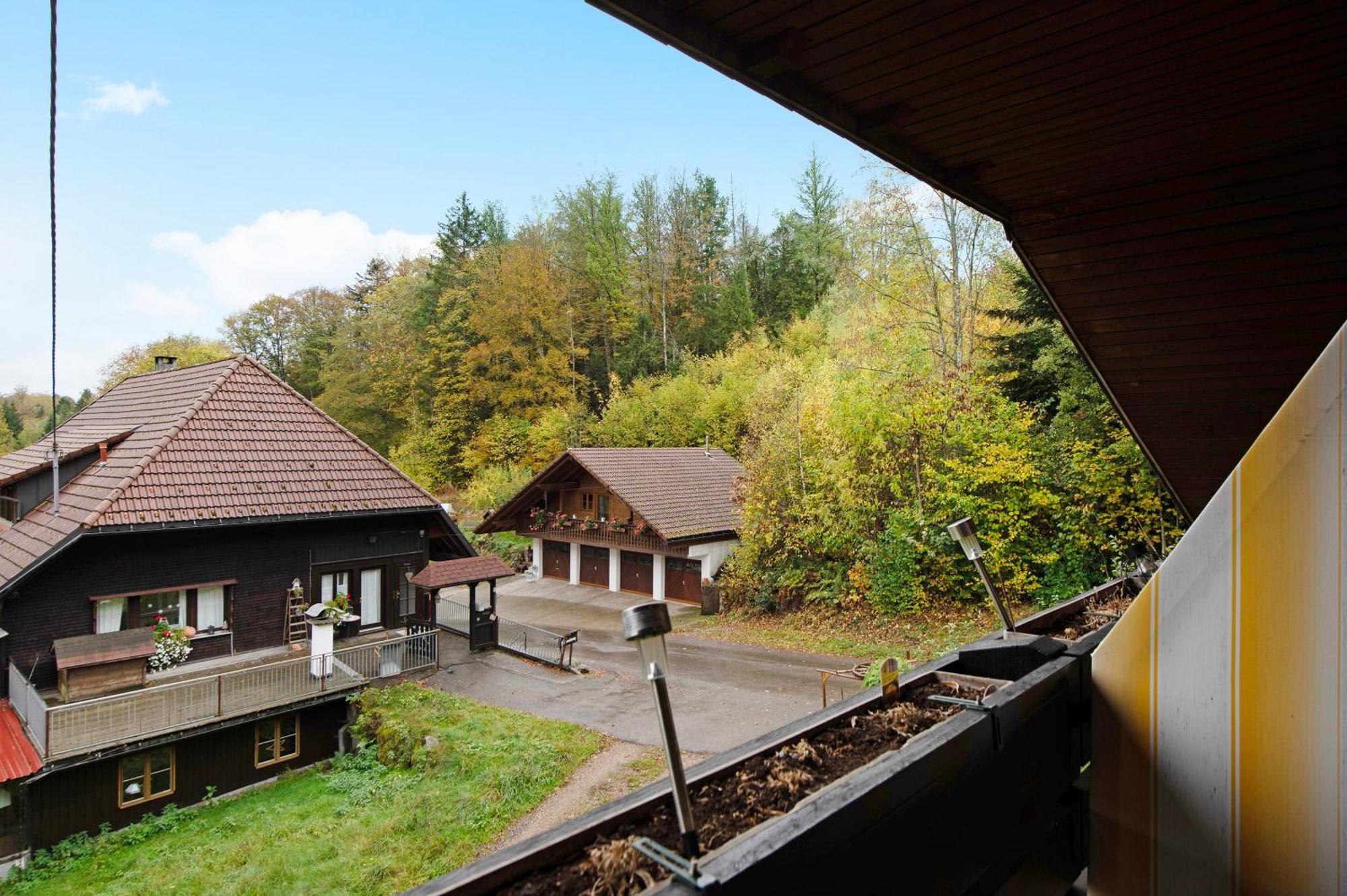 Am Schmiedebach * Wittenschwand