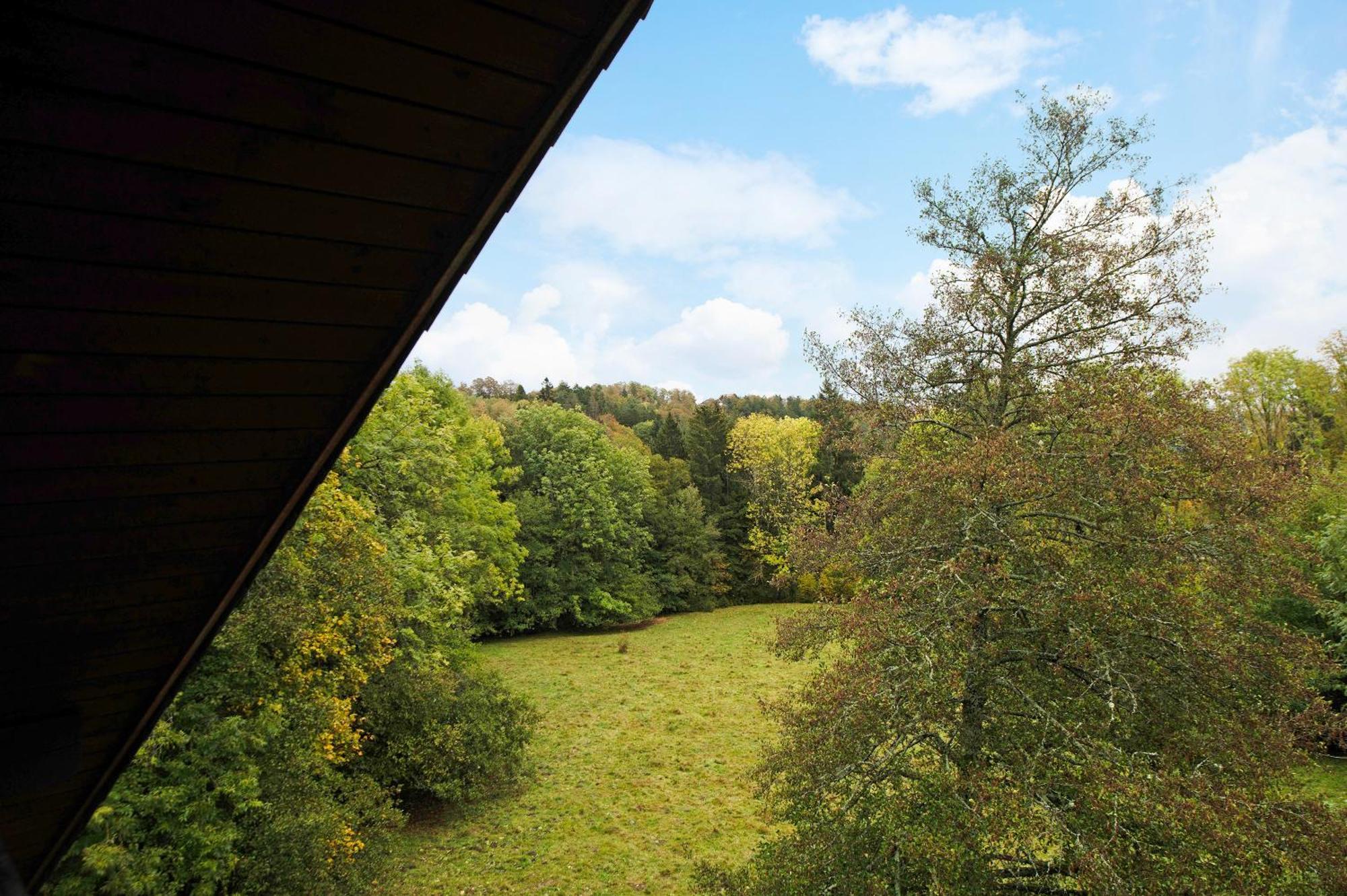 Ferienhaus Am Schmiedebach *