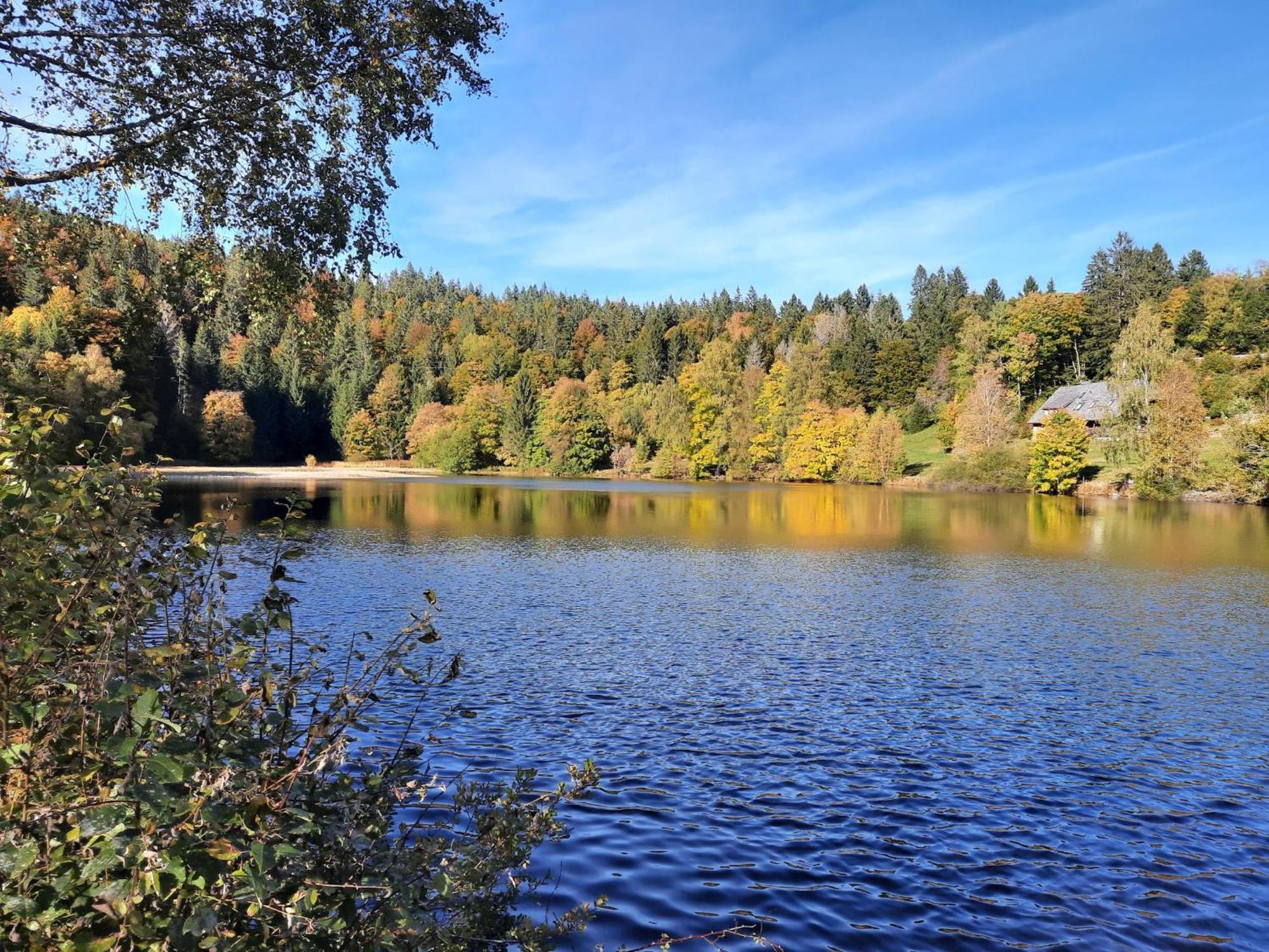 Am Schmiedebach Wittenschwand